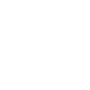 Steel Guardian Mode