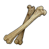 Bone