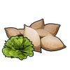 LettuceSeeds