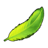 Tocotoco Feather